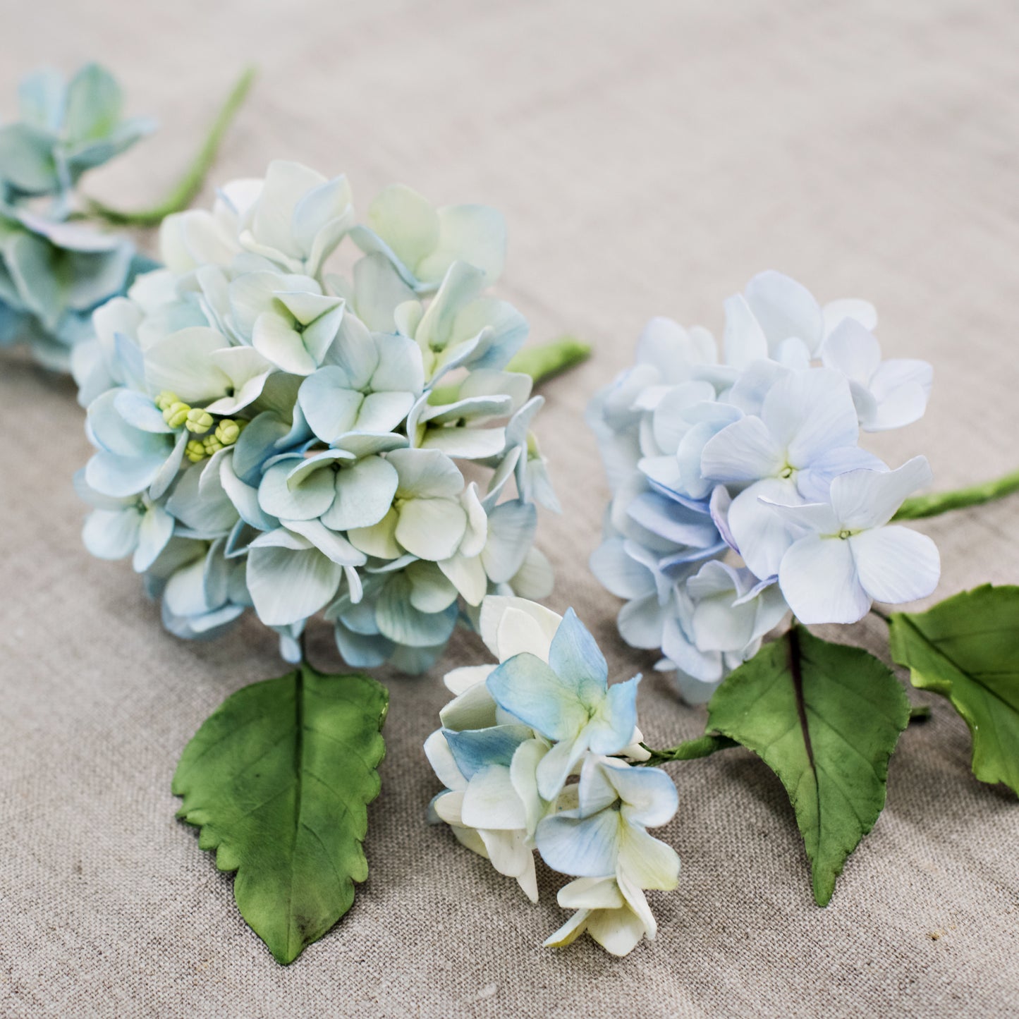 Sugar Flower How To - Hydrangea