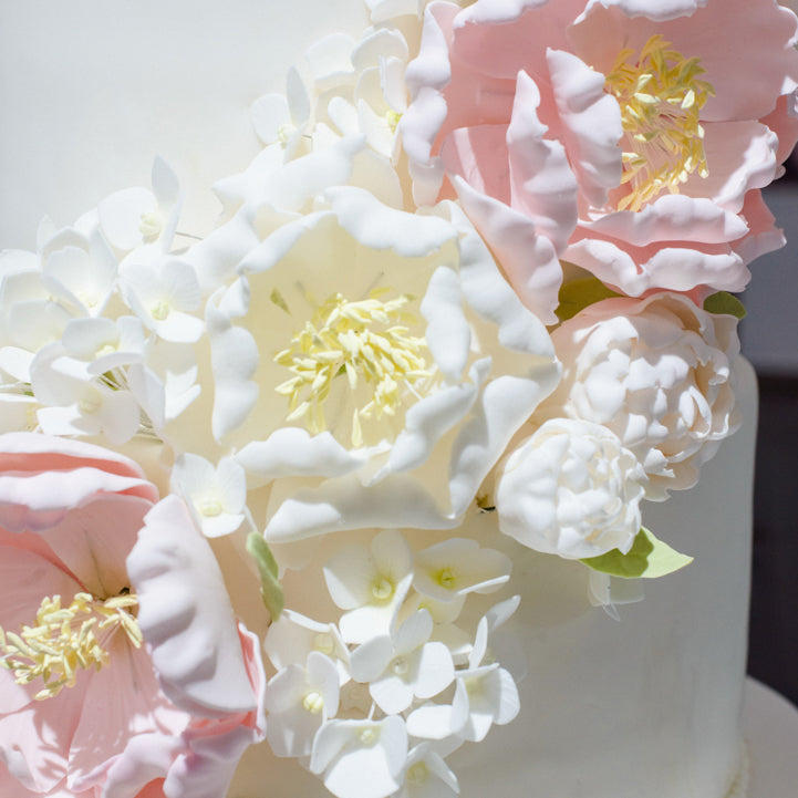 Sugar Flower How-To Series